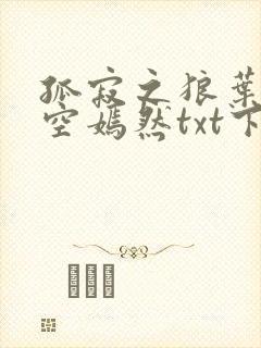 孤寂之狼叶凡司空嫣然txt下载