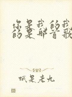 你是我的我是你的是哪首歌的歌词