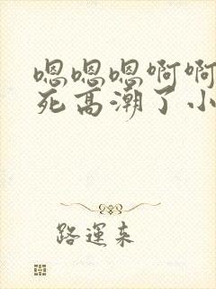 嗯嗯嗯啊啊啊操死高潮了小说