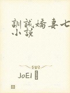 训诫娇妻七娘的小说