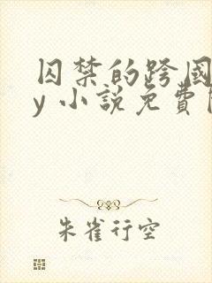 囚禁的跨国恋by 小说免费阅读