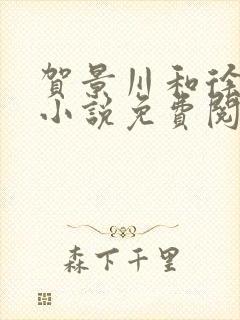 贺景川和徐晴晴小说免费阅读