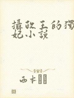 摄政王的独宠医妃小说