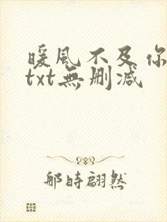 暖风不及你情深txt无删减