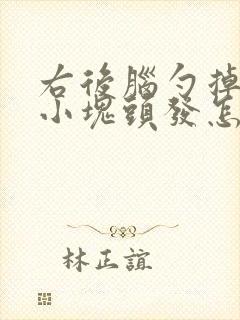 右后脑勺掉了一小块头发怎么回事