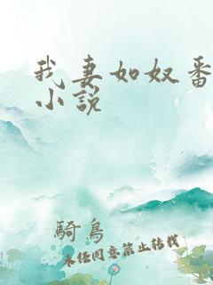 我妻如奴番外篇小说