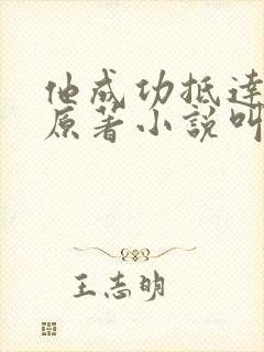 他成功抵达花心原著小说叫什么