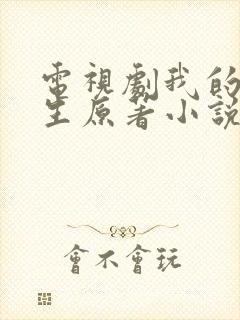 电视剧我的前半生原著小说