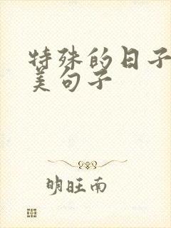 特殊的日子里唯美句子