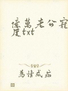 亿万老公宠妻无度txt