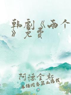 韩剧《两个妻子》免费