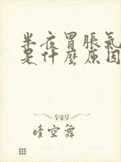 半夜胃胀气想吐是什么原因