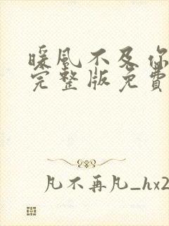 暖风不及你情深完整版免费阅读