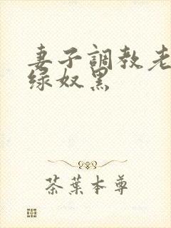 妻子调教老公成绿奴黑