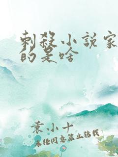 刺杀小说家2讲的是啥