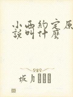 小西约定原著小说叫什么