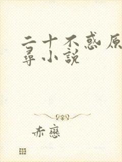二十不惑原著周寻小说