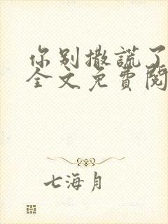 你别撒谎了小说全文免费阅读