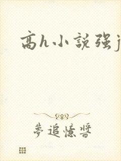 高h小说强j