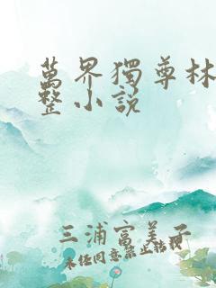 万界独尊林枫完整小说