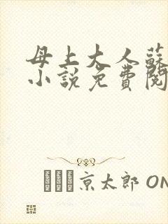 母上大人苏文婧小说免费阅读全文