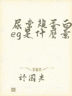 尿常规蛋白质neg是什么意思