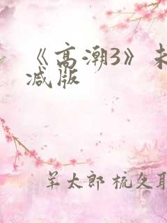 《高潮3》未删减版