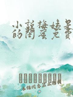 小说梅姨是小妈的闺蜜免费阅读