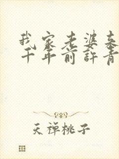 我家老婆来自一千年前许青