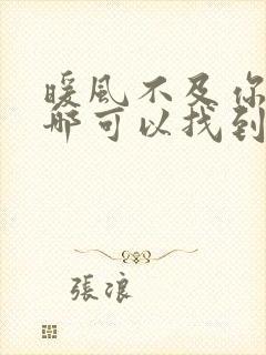 暖风不及你情深哪可以找到