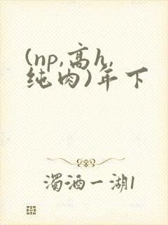 (np,高h,纯肉)年下