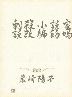 刺杀小说家是小说改编的吗