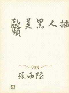 欧美黑人插b视频