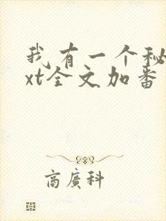 我有一个秘密txt全文加番外