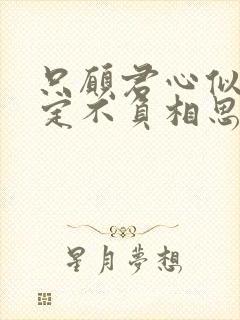 只愿君心似我心定不负相思意含义