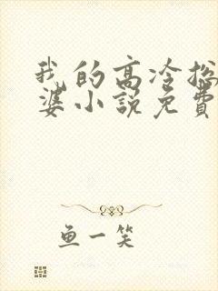 我的高冷总裁老婆小说免费