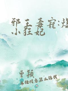 邪王毒宠:爆萌小狂妃