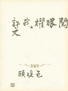 许我耀眼阅读全文