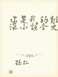 你是我的难得情深小说全文