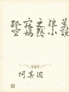 孤寂之狼叶凡司空嫣然小说