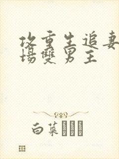 攻重生追妻火葬场双男主