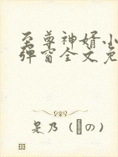 至尊神婿小说无弹窗全文免费阅读