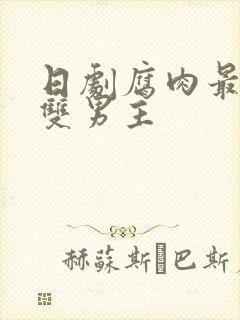 日剧腐肉最多的双男主