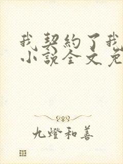 我契约了我自己小说全文免费阅读txt完结版