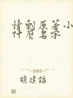 情刺原著小说叫什么名字