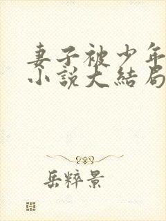 妻子被少年夺走小说大结局