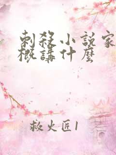 刺杀小说家2大概讲什么