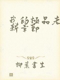 我的极品老婆最新章节