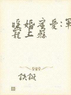 暖婚蜜爱:军官宠上瘾