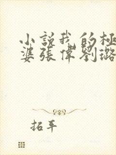 小说我的极品老婆张伟刘璐